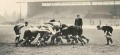 1905 All Blacks in action