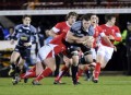 Hawks Campbell in action v Wales