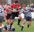 Sevens specialist Steve Begley